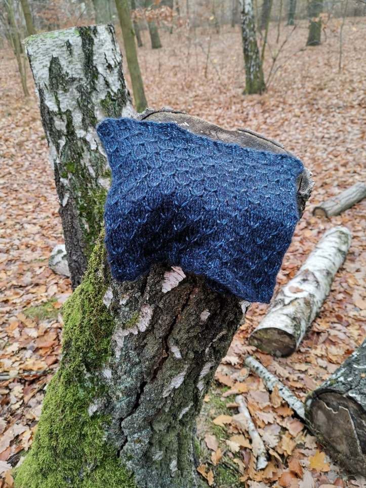 46439229_973449392866316_4323745939115212800_n