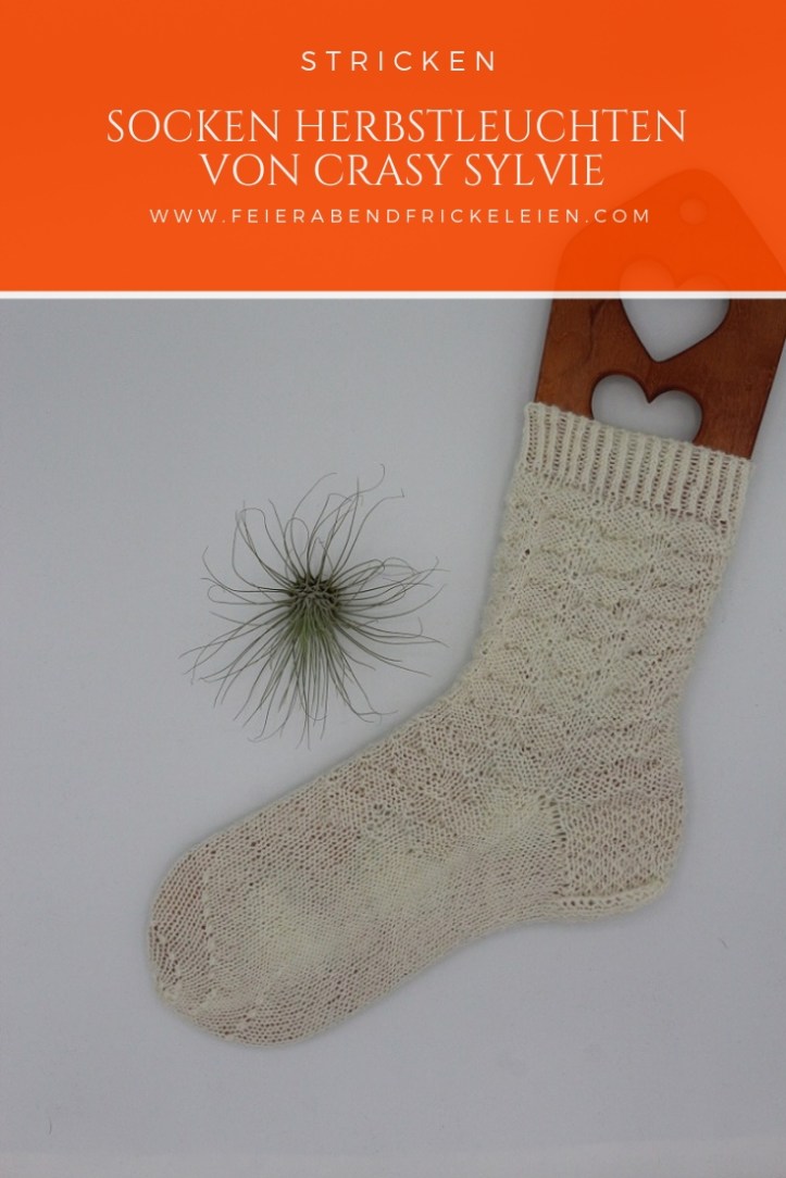 Socken Crasy Sylvie (12)