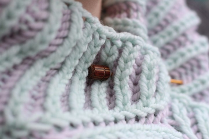 Brioche Cowl Crasy Sylvie (12)