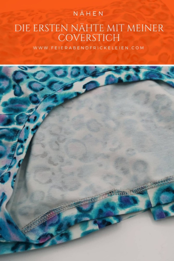 Brother Coverstich (2)