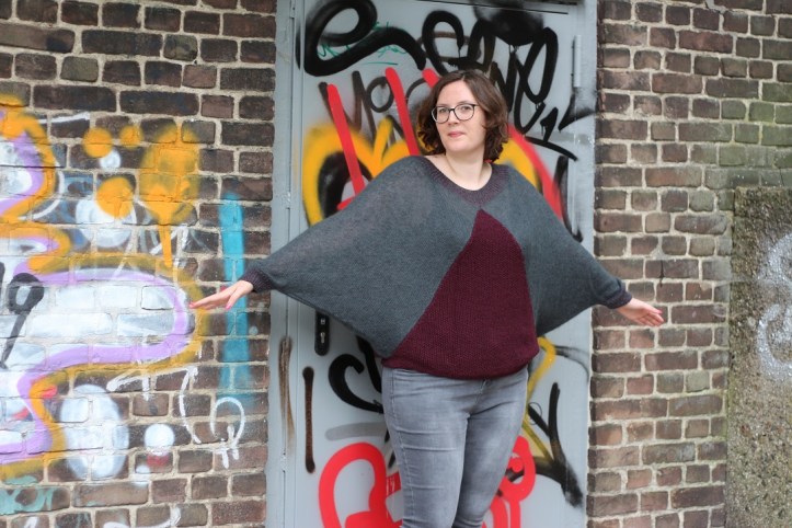 Akita Ito Garn Pulli (4)