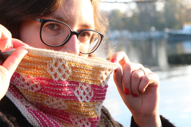 Cowl Rowan Island Blend (10)